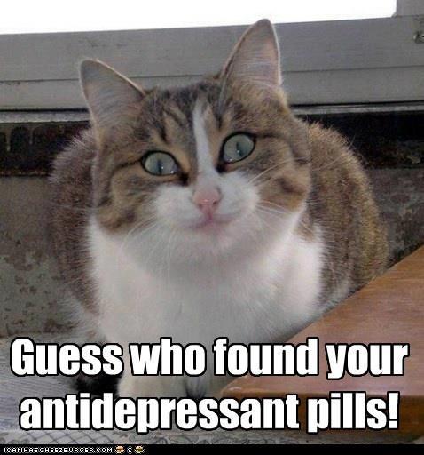 found_your_pills