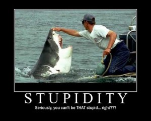 shark stupid man