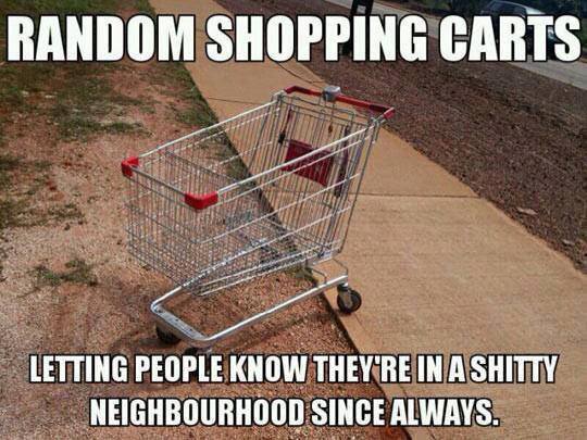 random_shopping_carts
