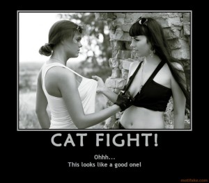 cat-fight-demotivational-poster-1244321372