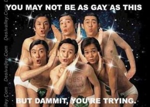 gay-as-this-funny-picture